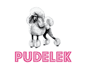 Pudelek